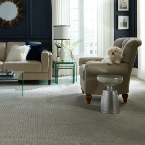 Textured Carpet | Rayo Wholesale