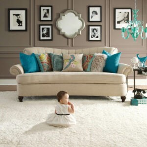 Plush Carpet | Rayo Wholesale