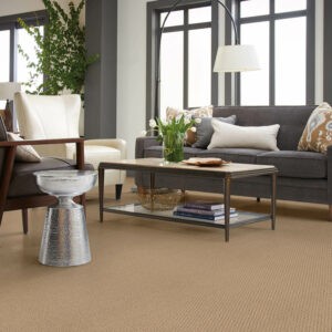 Neutral Carpet | Rayo Wholesale